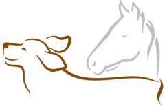 Hundeschule und Pferdehof Munz